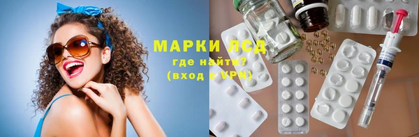 мдпв Бородино
