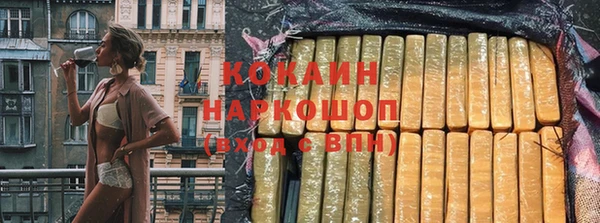 мдпв Бородино