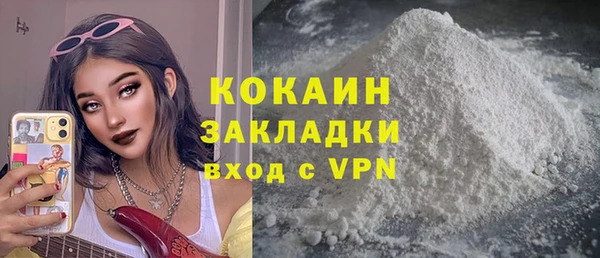 мдпв Бородино
