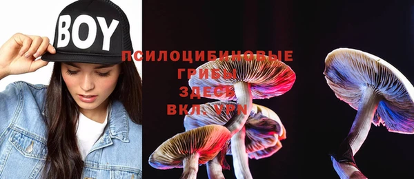 МДПВ Бугульма