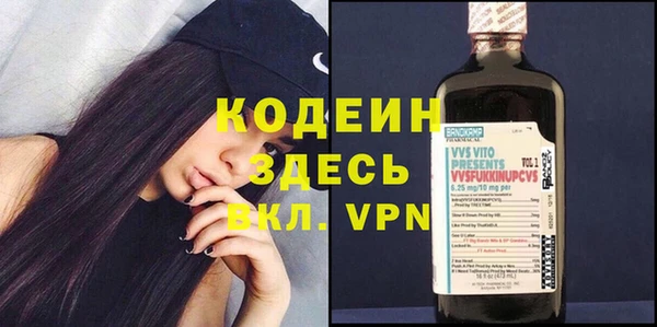 мдпв Бородино