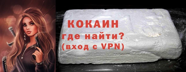 мдпв Бородино