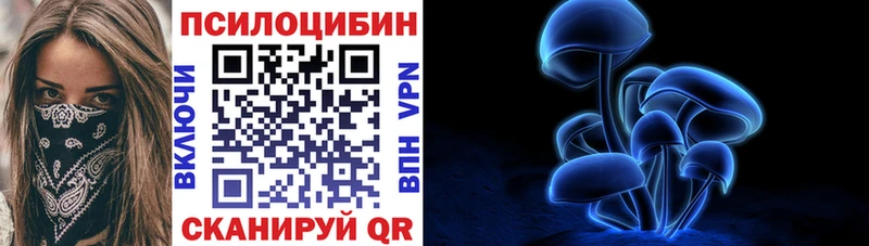 наркота  Мичуринск  kraken онион  Галлюциногенные грибы Psilocybine cubensis 